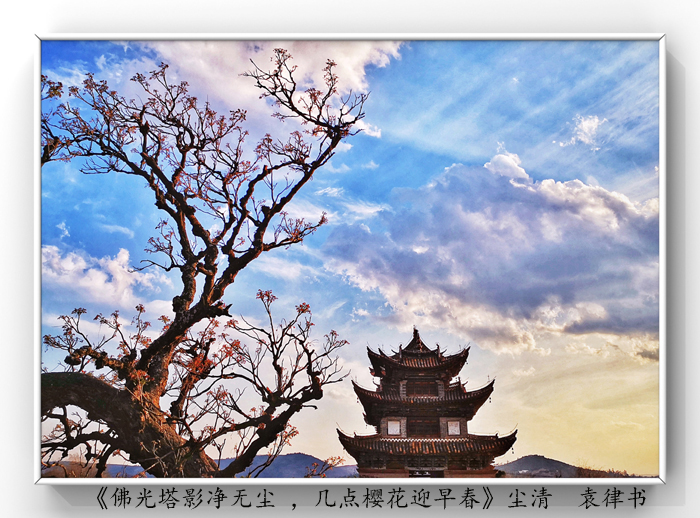 025《佛光塔影凈無塵 ，幾點櫻花迎早春》.jpg